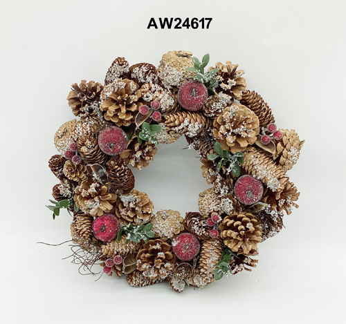 AW24617