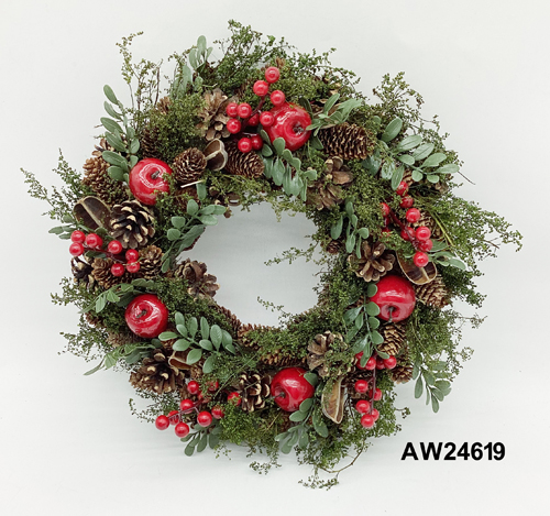 AW24619