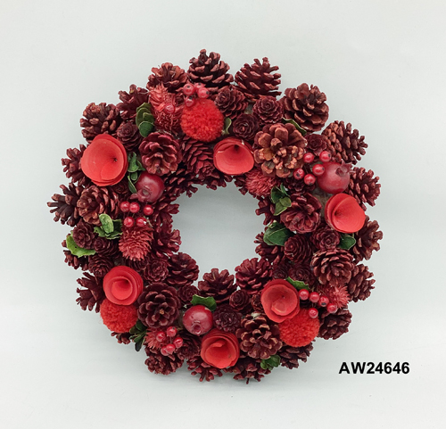 AW24646
