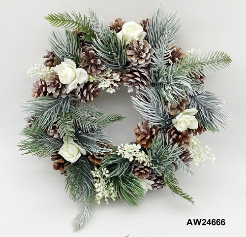 AW24666