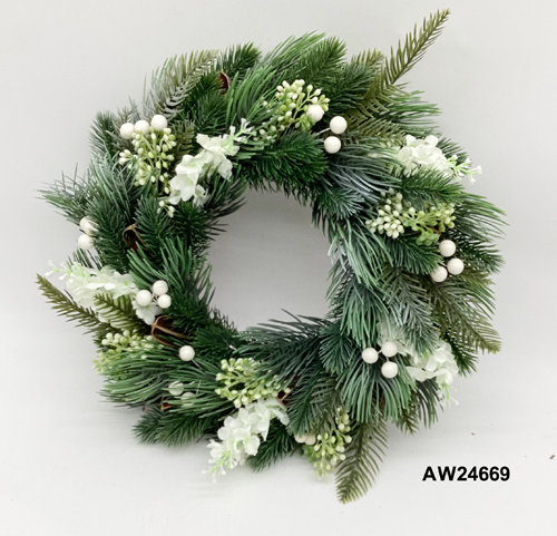 AW24669