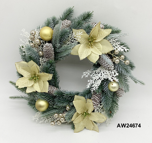 AW24674