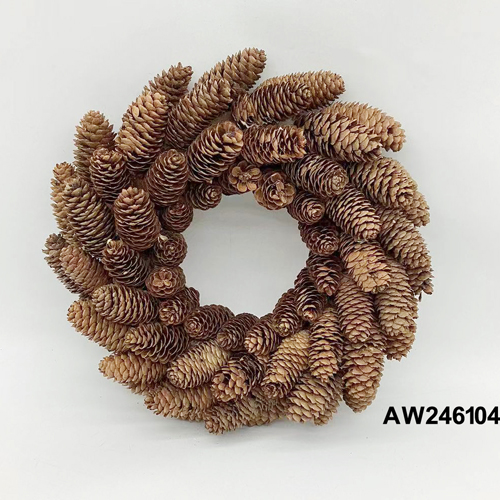 AW246104
