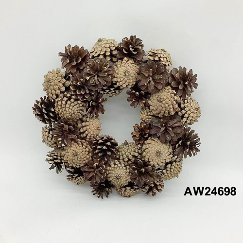 AW24698