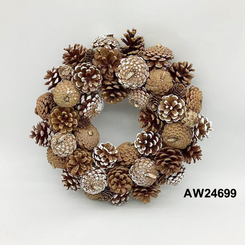 AW24699