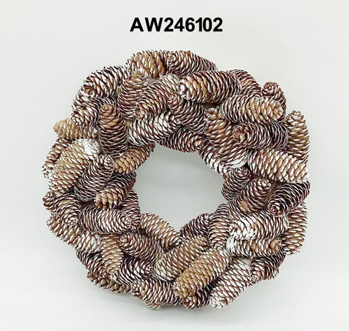 AW246102