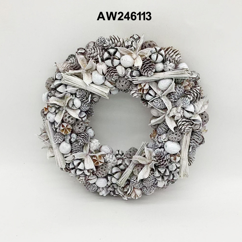 AW246113