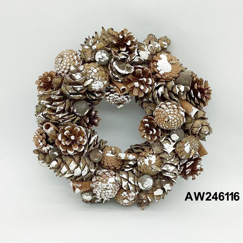 AW246116