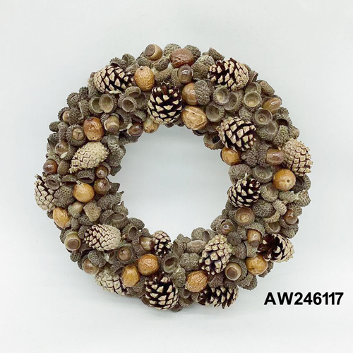 AW246117