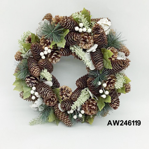 AW246119