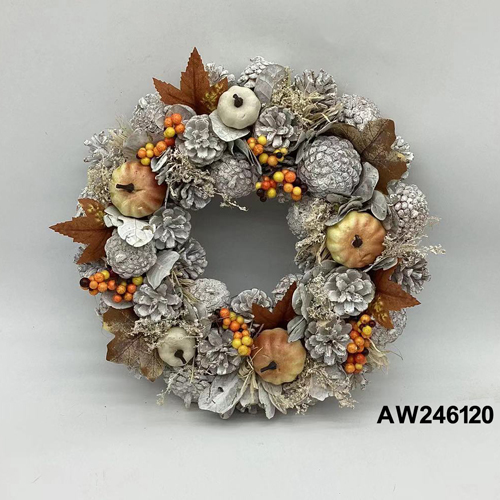 AW246120