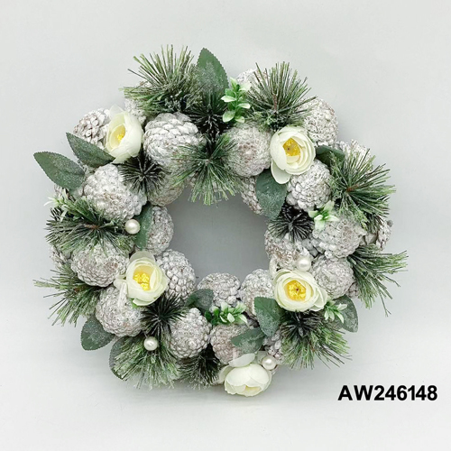 AW246148