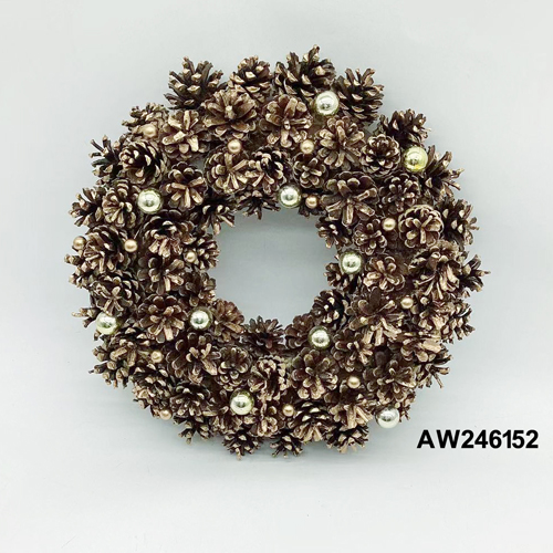 AW246152