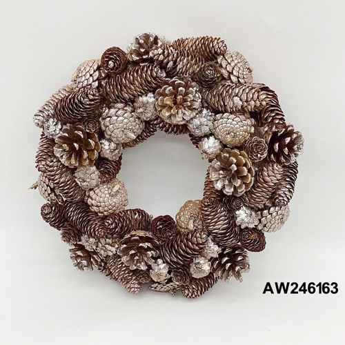 AW246163