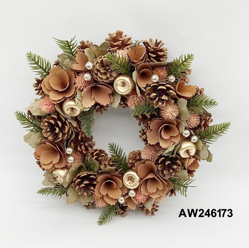 AW246173