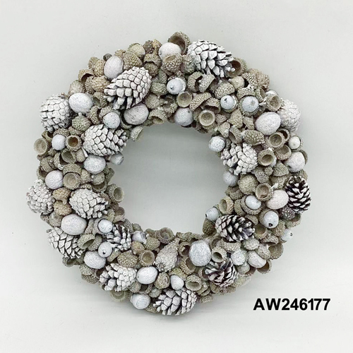 AW246177