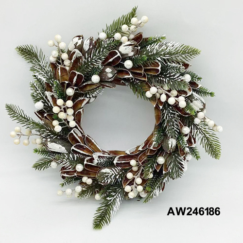 AW246186