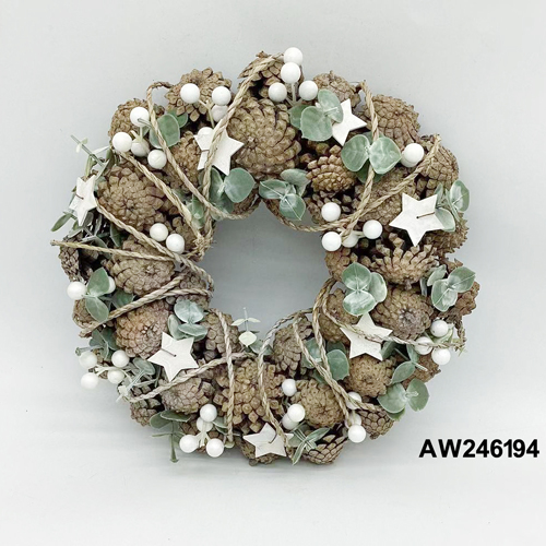 AW246194