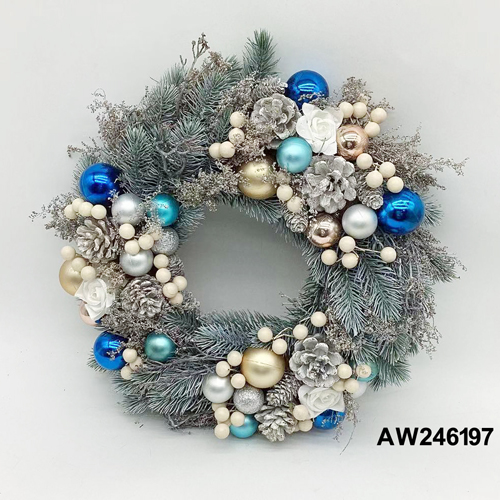 AW246197