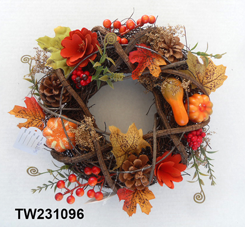 TW231096