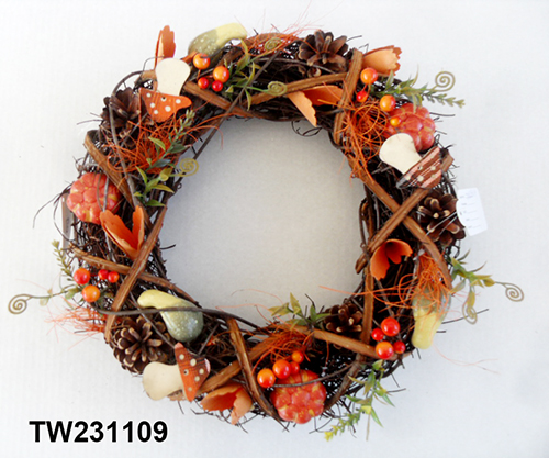 TW231109