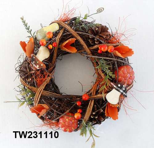 TW231110