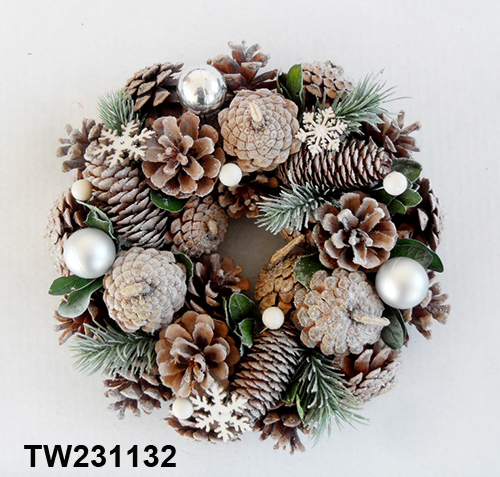 TW231132
