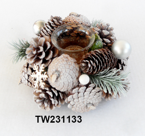 TW231133