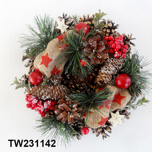 TW231142