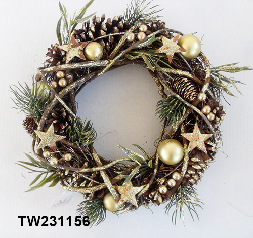 TW231156