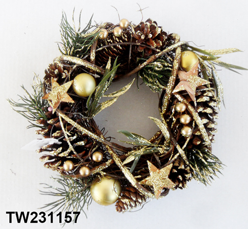 TW231157