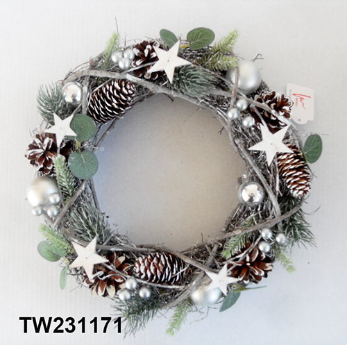TW231171