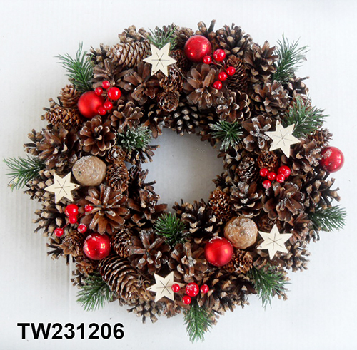 TW231206