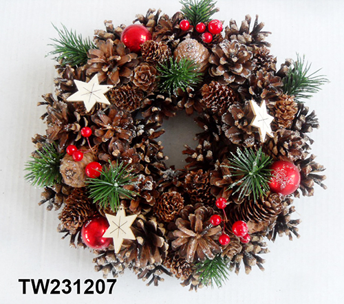 TW231207