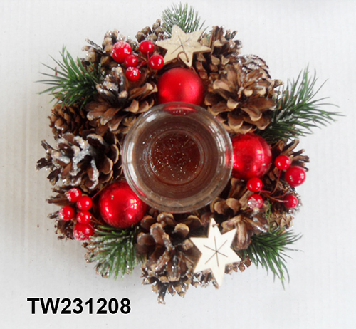 TW231208