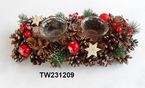 TW231209