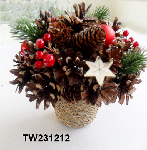 TW231212
