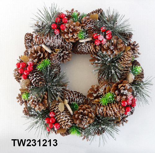 TW231213