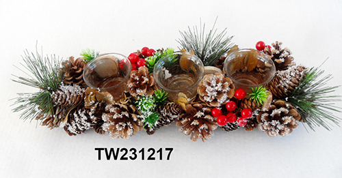 TW231217