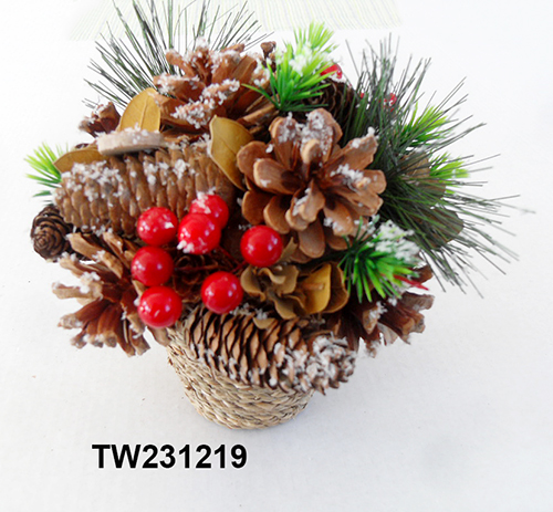 TW231219