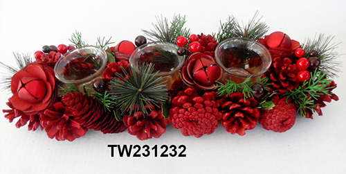 TW231232
