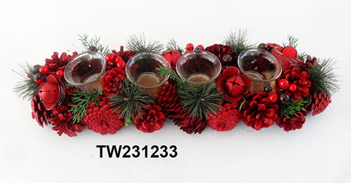 TW231233
