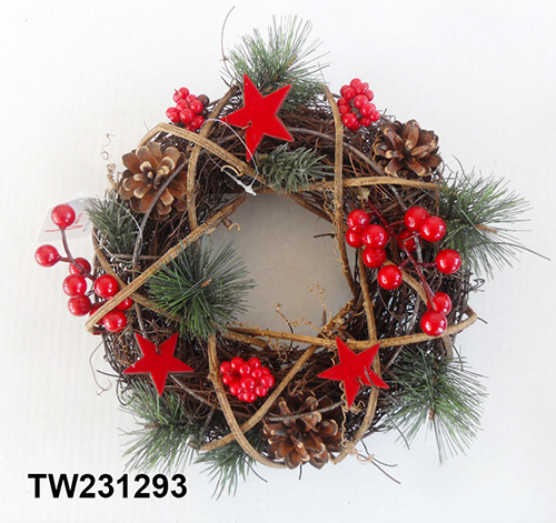 TW231293