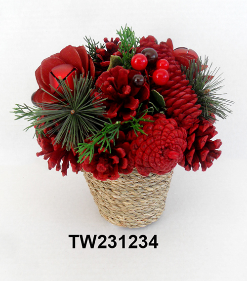 TW231234