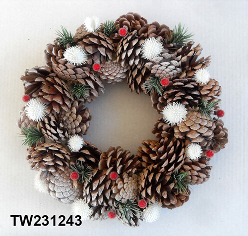 TW231243