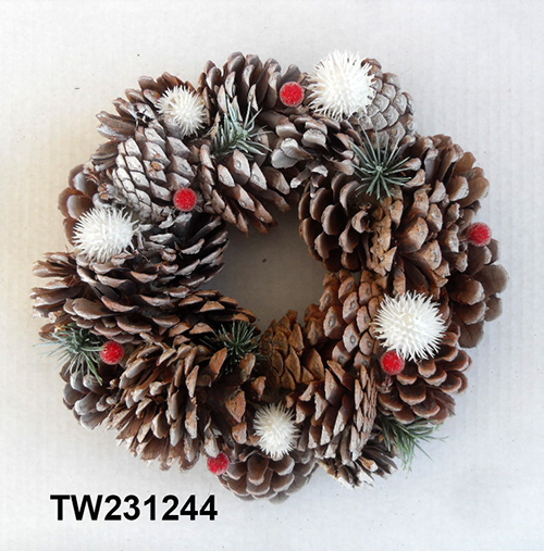 TW231244