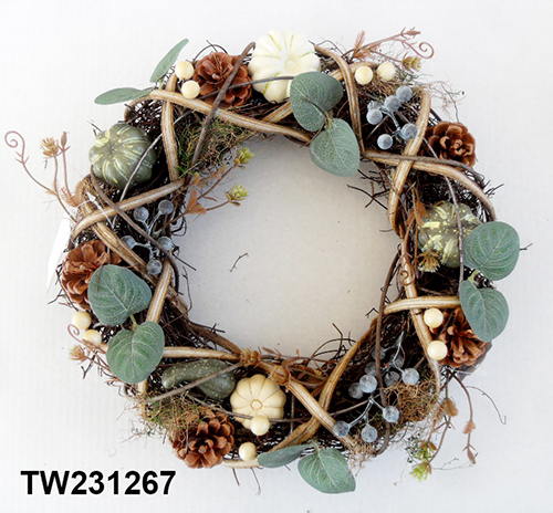 TW231267
