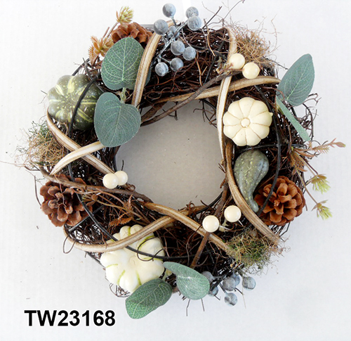 TW231268