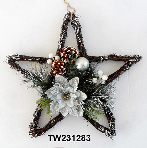 TW231283