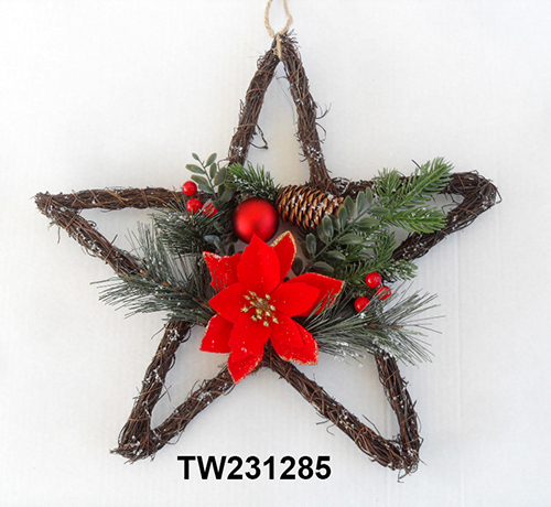 TW231285